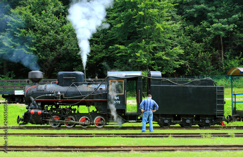 Fototapeta Naklejka Na Ścianę i Meble -  July 18, 2018: Cisna - Majdan, Poland: Bieszczady Railway Station in Cisna - Majdan in Bieszczady Mountains
