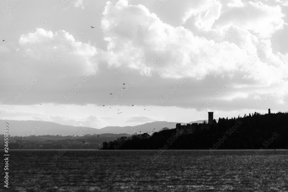 Birds flying over Trasimeno lake