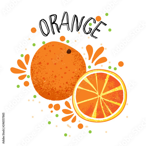 Vector hand draw orange illustration. Slice of orange with juice splashes isolated on white background. Textured orange citrus sketch, juice citrus fruit with word Orange on top. Fresh ripe mandarin