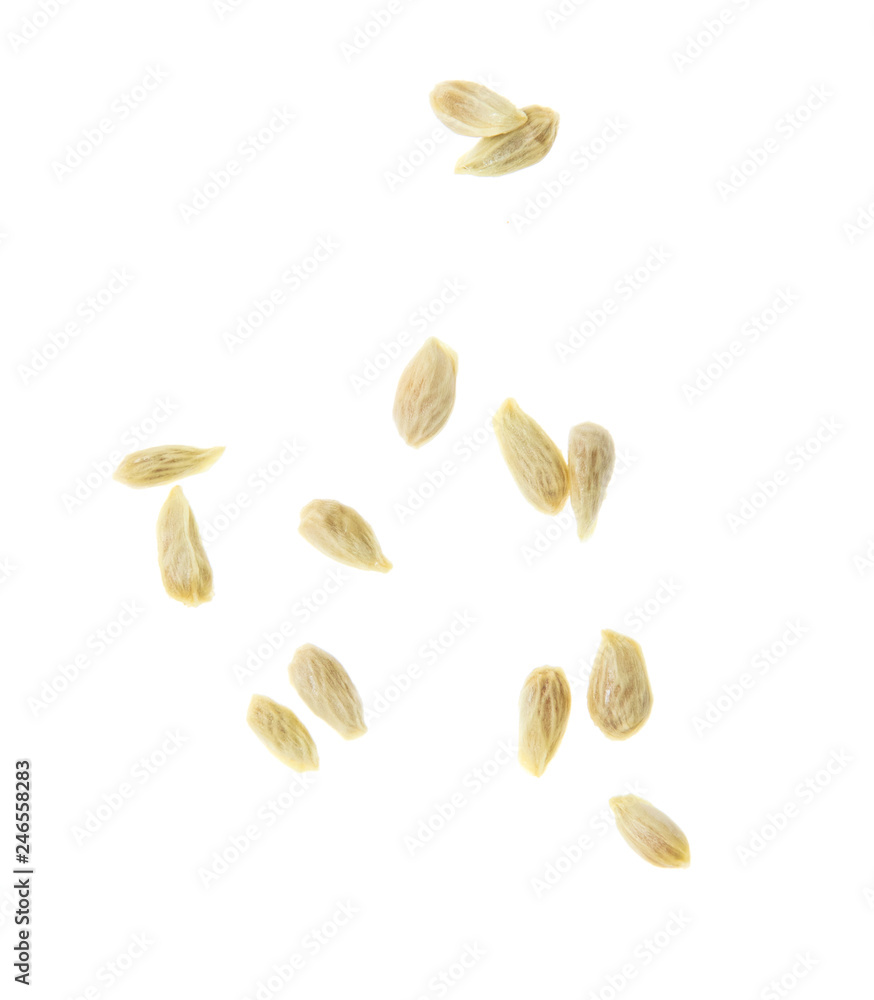 Seeds in tangerines on a white background Seeds in tangerines on a white background