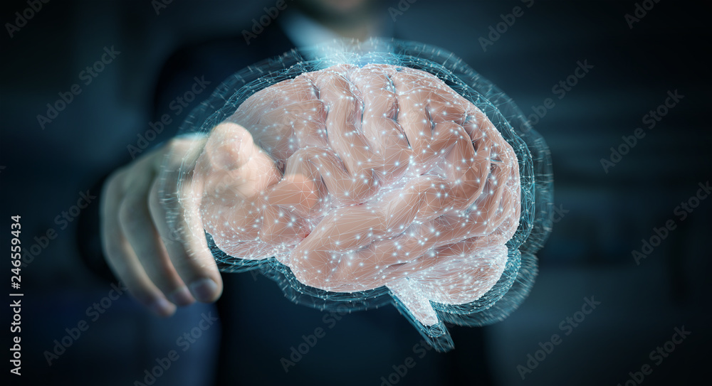 Fototapeta Biznesmen używa cyfrową projekcję 3D ludzkiego mózg 3D rendering
