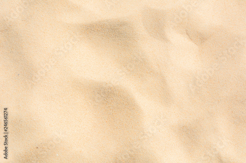 Sand nature on the beach