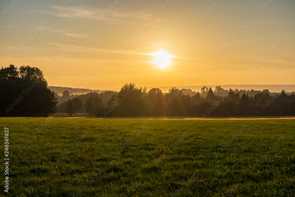 Naklejka premium The sunset over wheat field in Germany