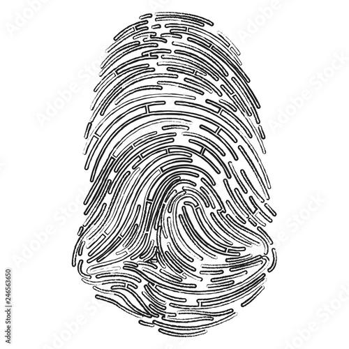 Vector illustration of fingerprint.