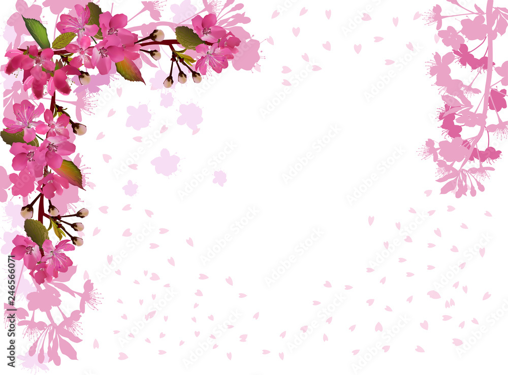 corner from cherry tree pink flowers on petal background corner from cherry tree pink flowers on petal background
