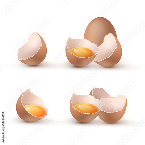 Vector illustration of cracked eggs with yolks, set eggshells cracked and broken in halves isolated on background