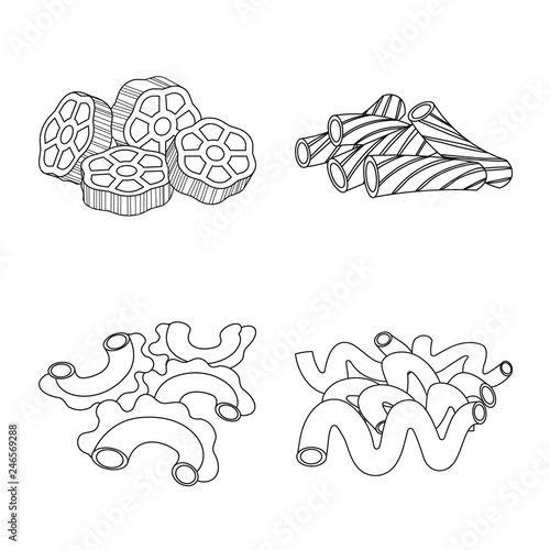 Isolated object of pasta and carbohydrate sign. Set of pasta and macaroni stock symbol for web.