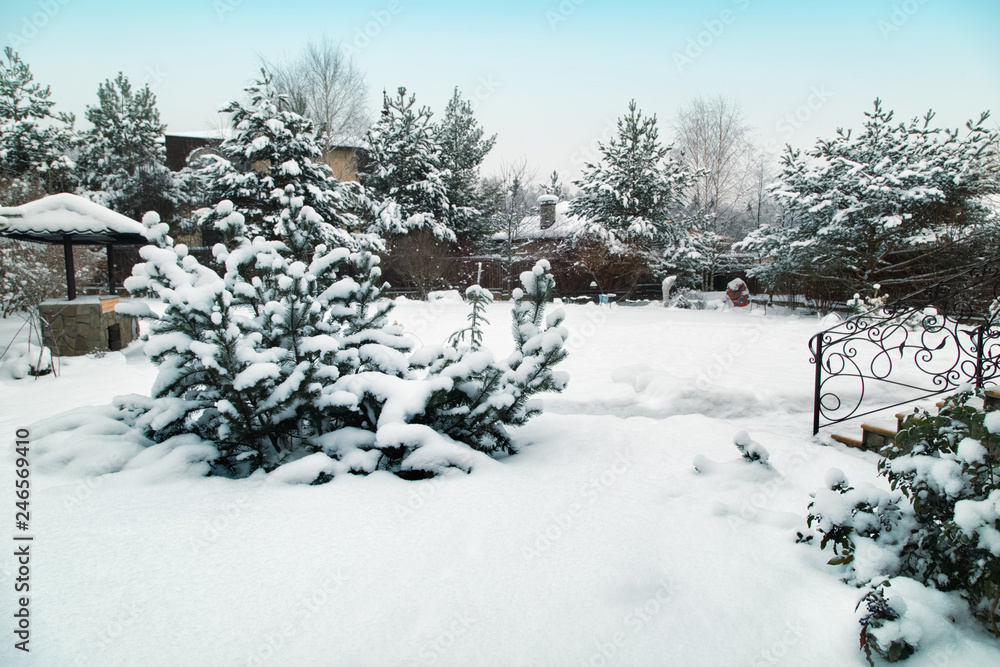 Backyard Patio.Landscape with barbeque area, snowbanks of white snow, pine trees in country garden. Country life concept.