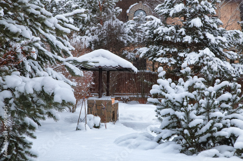 Backyard Patio.Landscape with barbeque area, snowbanks of white snow, pine trees in country garden. Country life concept.