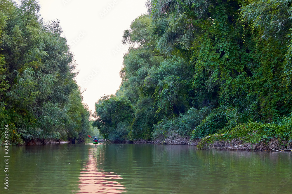 Woman paddle green kayak. Kayaking near overgrown shore of green thick thickets, wild grapes and driftwood on the banks of river at summer. Concept for adventure, travel, action, lifestyle. Woman paddle green kayak. Kayaking near overgrown shore of green thick thickets, wild grapes and driftwood on the banks of river at summer. Concept for adventure, travel, action, lifestyle.