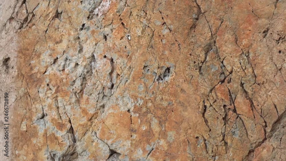 Sheer wall in the mountains broken rock climbers. A place to practice rock climbing. Brown flat stone surface. Close up Sheer wall in the mountains broken rock climbers. A place to practice rock climbing. Brown flat stone surface. Close up