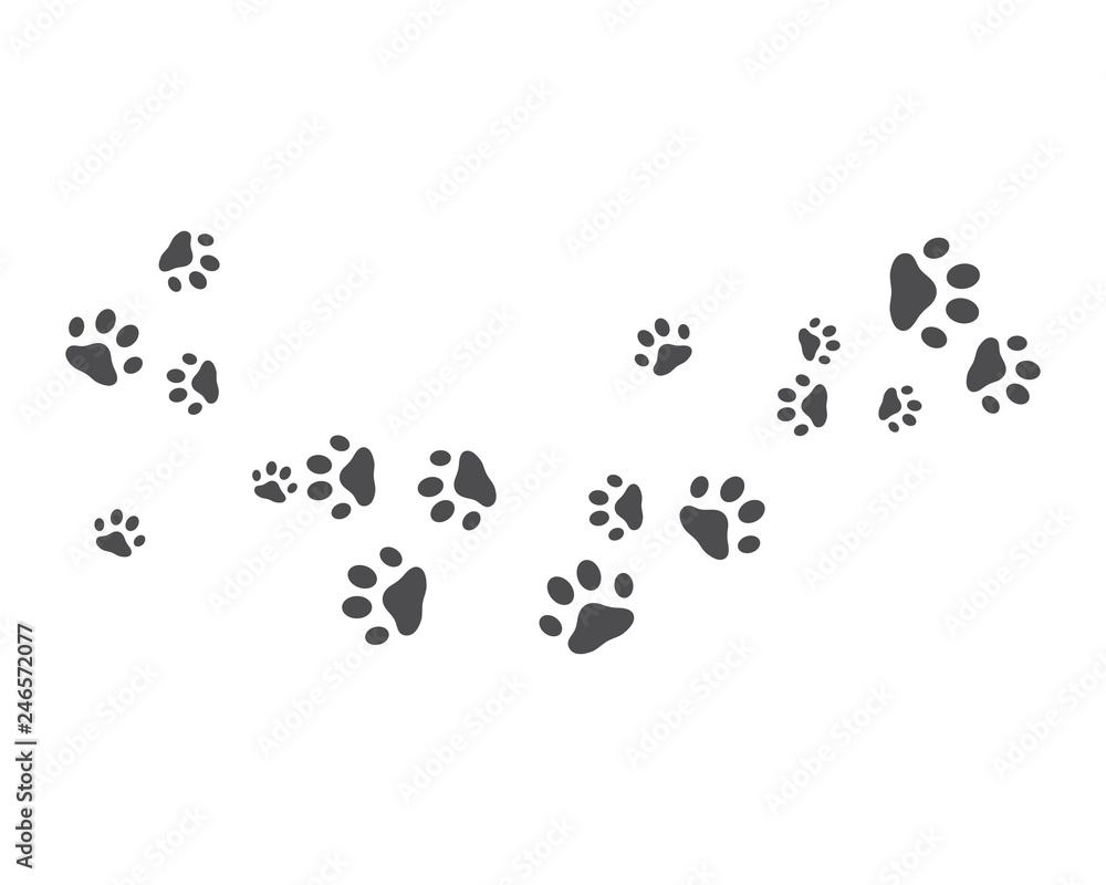 Paw background template Paw background template