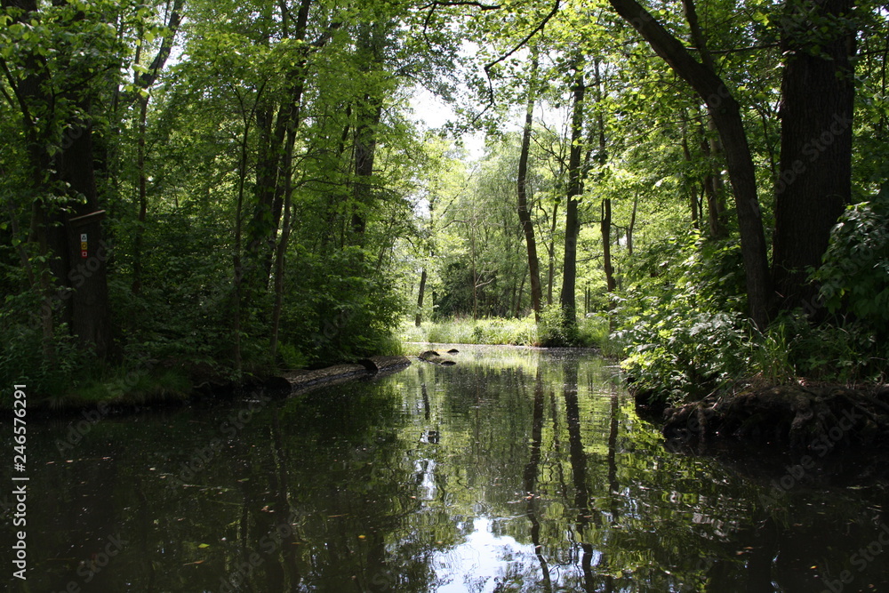 Spreewald Spreewald