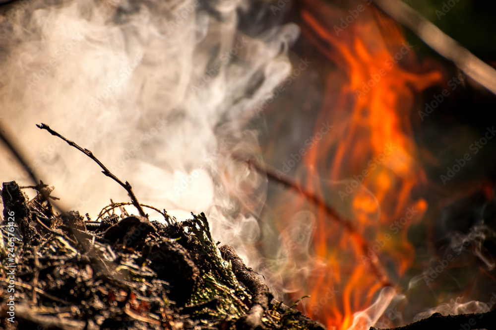 Ignite the fire. Macro shot of bonfire, white smoke, hot, glowing coal and fire. Burning branches and wood. Flames in fireplace, cozy home, warmth, love, romantic. Spring cleaning, gardening, picnic