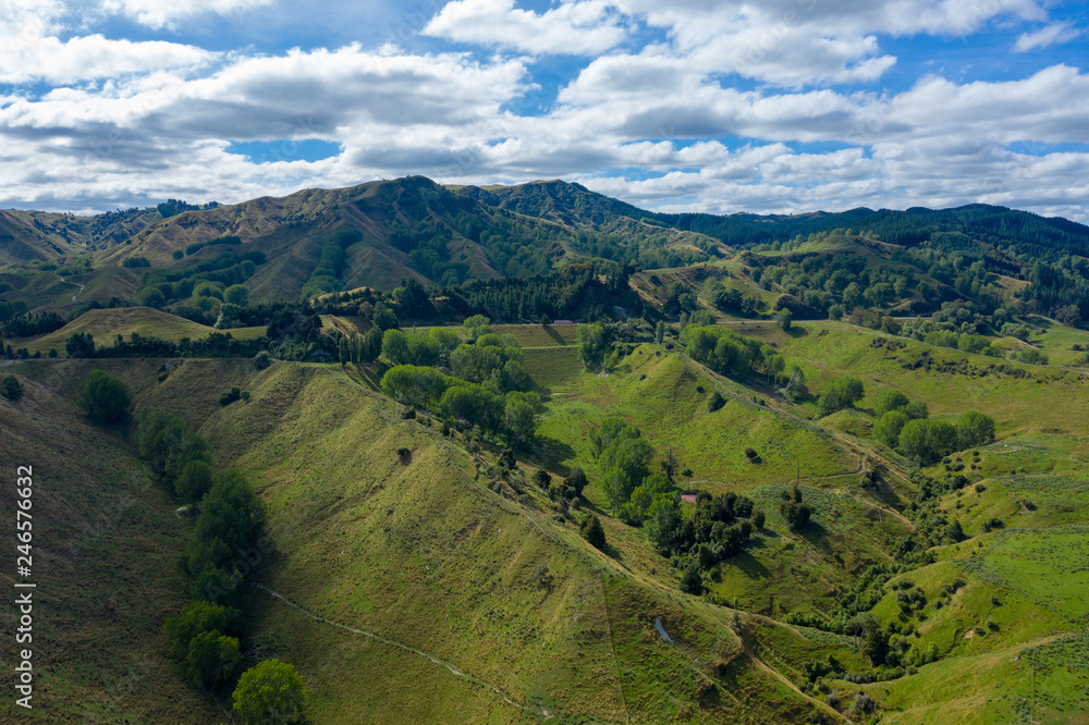 Hilly landscape of New Zealand