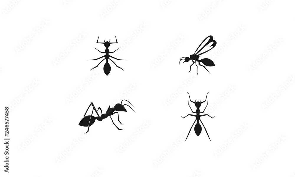 Ant set template logo Ant set template logo