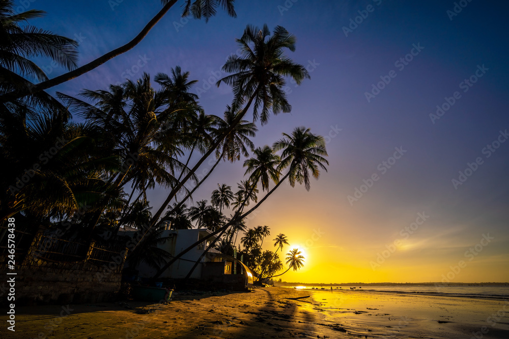 Palm trees and amazing  sky on sunrise at Fishing Village , Binh Thuan, Vietnam . Coconut Tree with Beautiful and romantic sunrise at Mui ne..