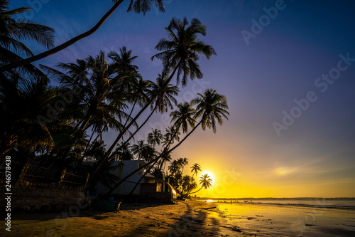 Fototapeta Naklejka Na Ścianę i Meble -  Palm trees and amazing  sky on sunrise at Fishing Village , Binh Thuan, Vietnam . Coconut Tree with Beautiful and romantic sunrise at Mui ne..