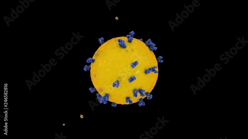 3d rendering animation of human cell