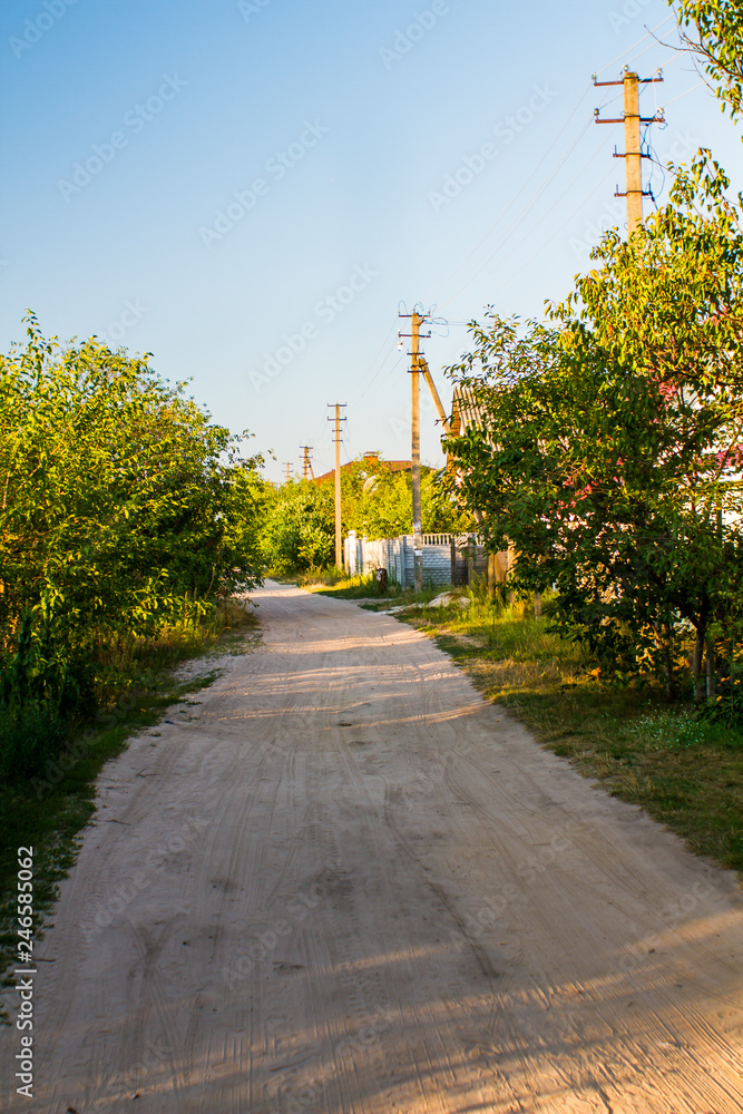 Dirt road surrounded by green bushes and electricity pylons against a blue sky
