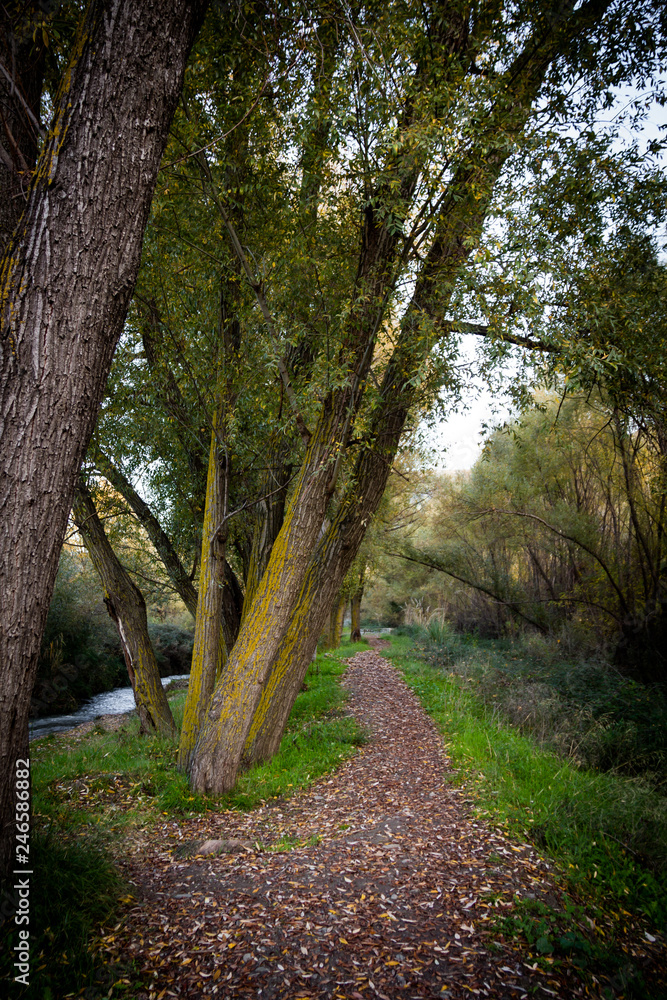 Granada, Spain; November 28, 2018: Genil River on its way through Cenes de la Vega, Granada Granada, Spain; November 28, 2018: Genil River on its way through Cenes de la Vega, Granada