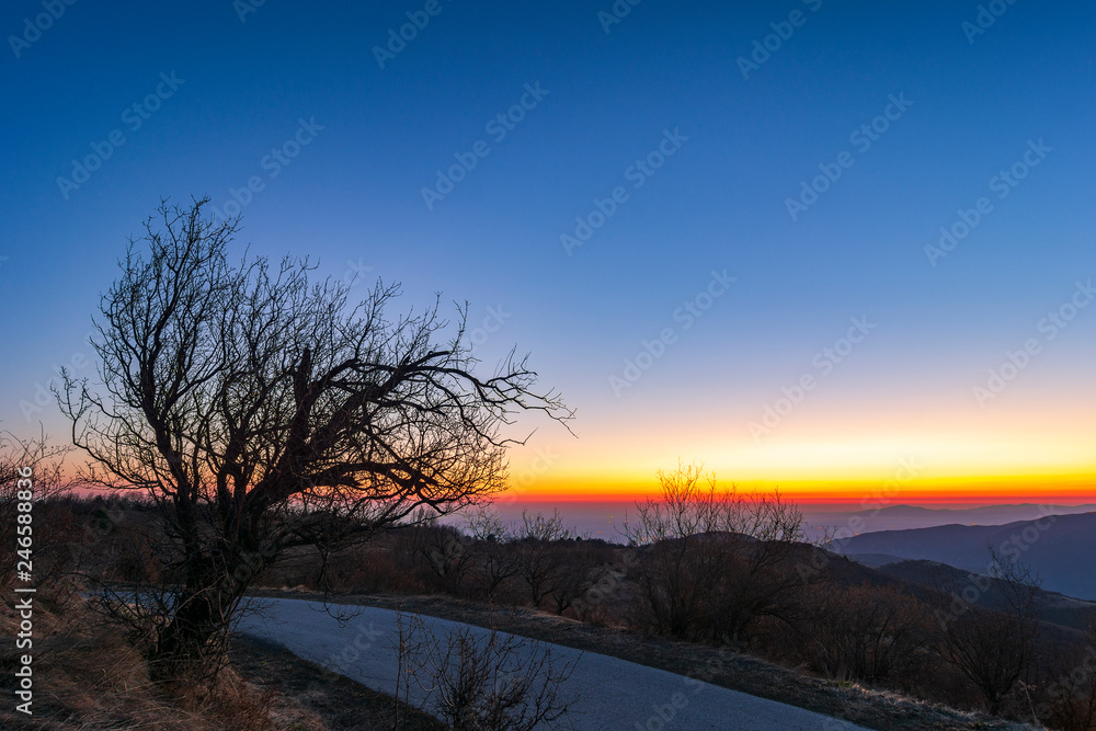 winter sunrise winter sunrise