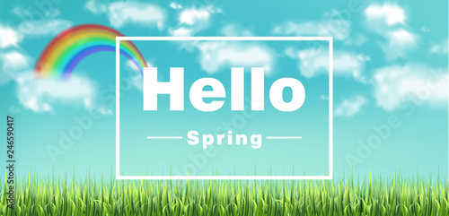 Colorful rainbow on sky background Vector realistic. Beautiful green meadow b...