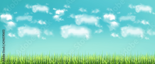 Green meadow and blue sky Vector realistic banner templates