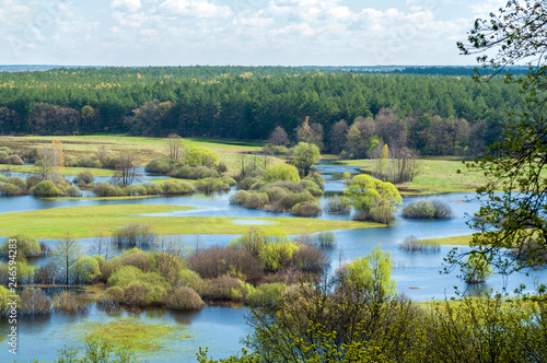 Spring flooding on the river against the background of the coniferous forest and blue sky with clouds. Selective focus.
