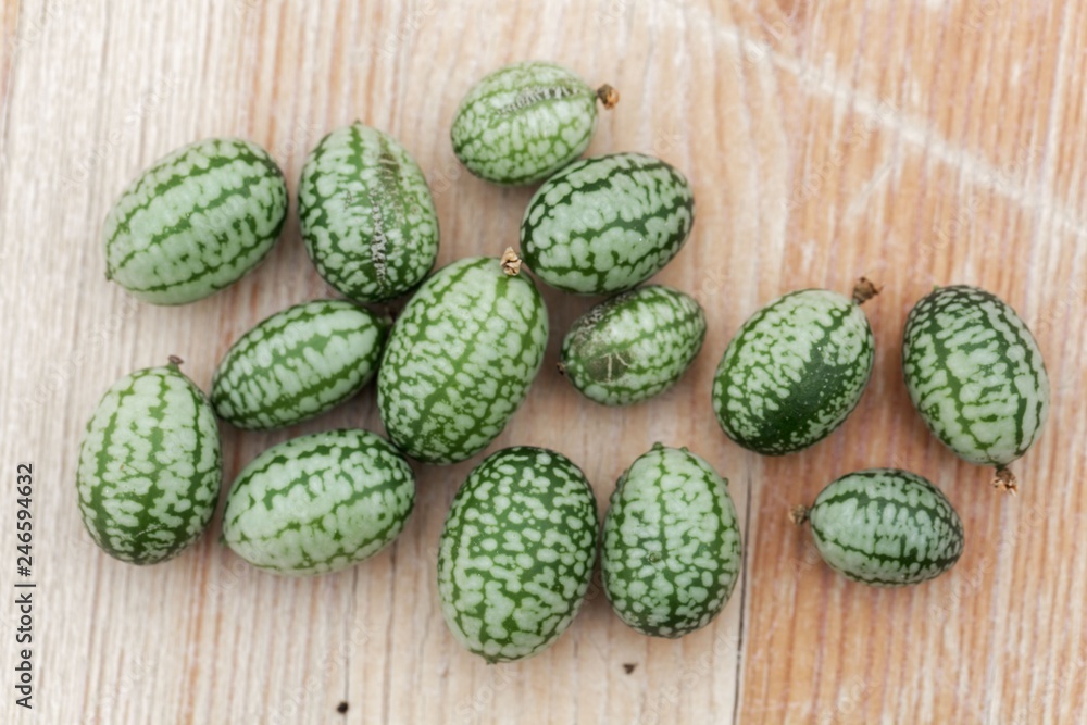 Fototapeta premium Fruits of a Mexican sour gherkin, Melothria scabra