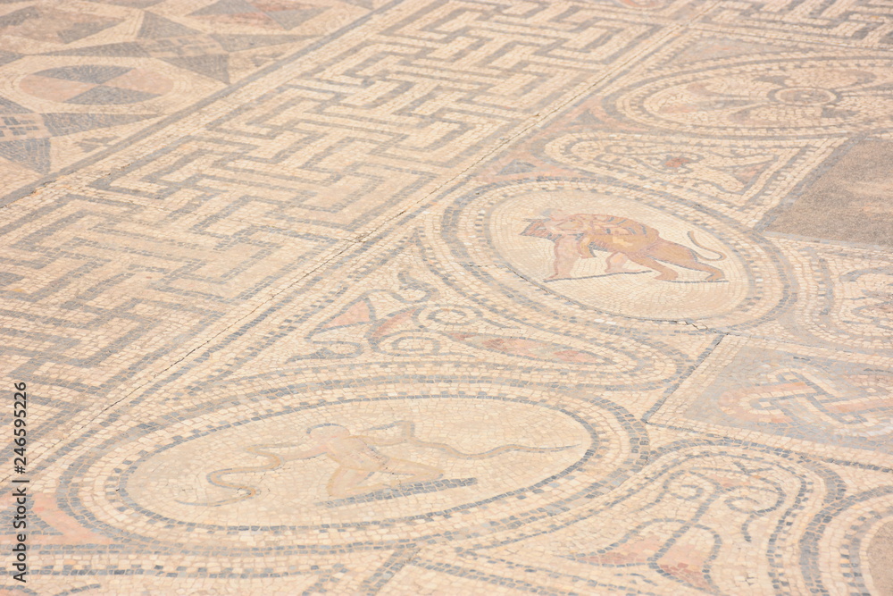 Obraz premium VOLUBILIS