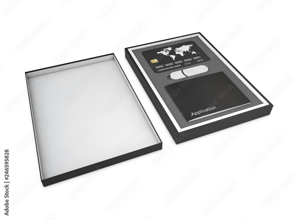 Software black box with credit card and usb flash drive isolated on white background. 3d Illustration Software black box with credit card and usb flash drive isolated on white background. 3d Illustration