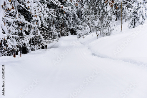Groomed trail for cross country skiing. Winter landscape at early morning in Austria, Europe.