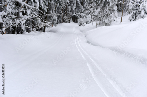 Groomed trail for cross country skiing. Winter landscape at early morning in Austria, Europe.