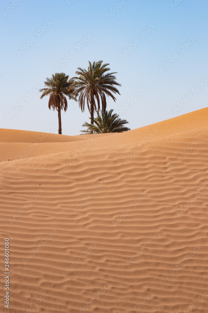 Colori e luoghi del Marocco e del suo deserto Colori e luoghi del Marocco e del suo deserto