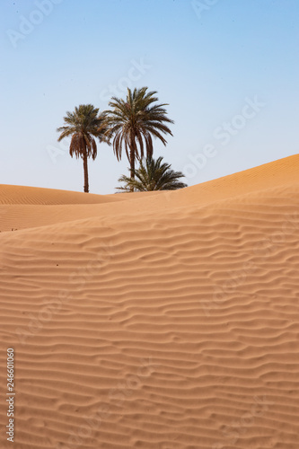 Colori e luoghi del Marocco e del suo deserto