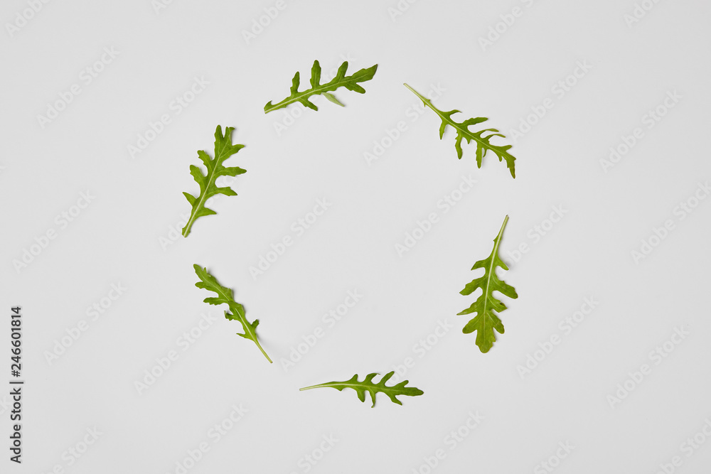 top view of arugulas leaves in circle isolated on grey