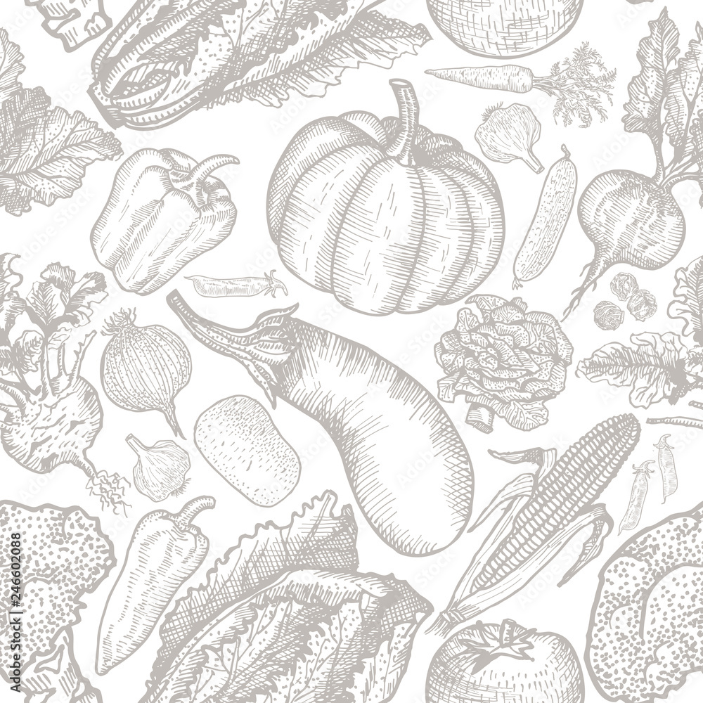 Vegetable Pattern Sketch Drawn Background. Vector Vegetable Pattern Sketch Drawn Background. Vector