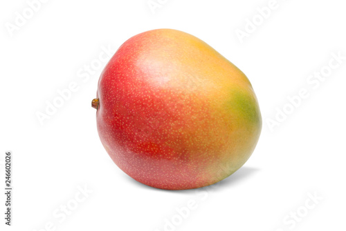 Mango isolated on white