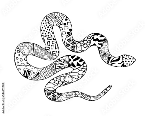 Vector hand drawn zen art python decorated with geometric ornaments isolated on white background. Black and white silhouette of snake with different patterns. Tattoo. Top view