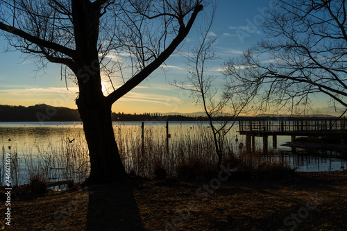 Lake Varese. Backlight Views from Schiranna photo