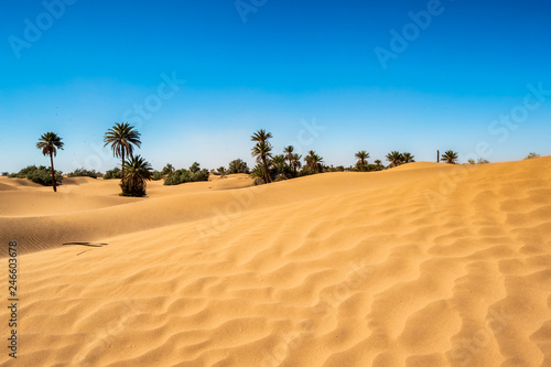 Colori e luoghi del Marocco e del suo deserto