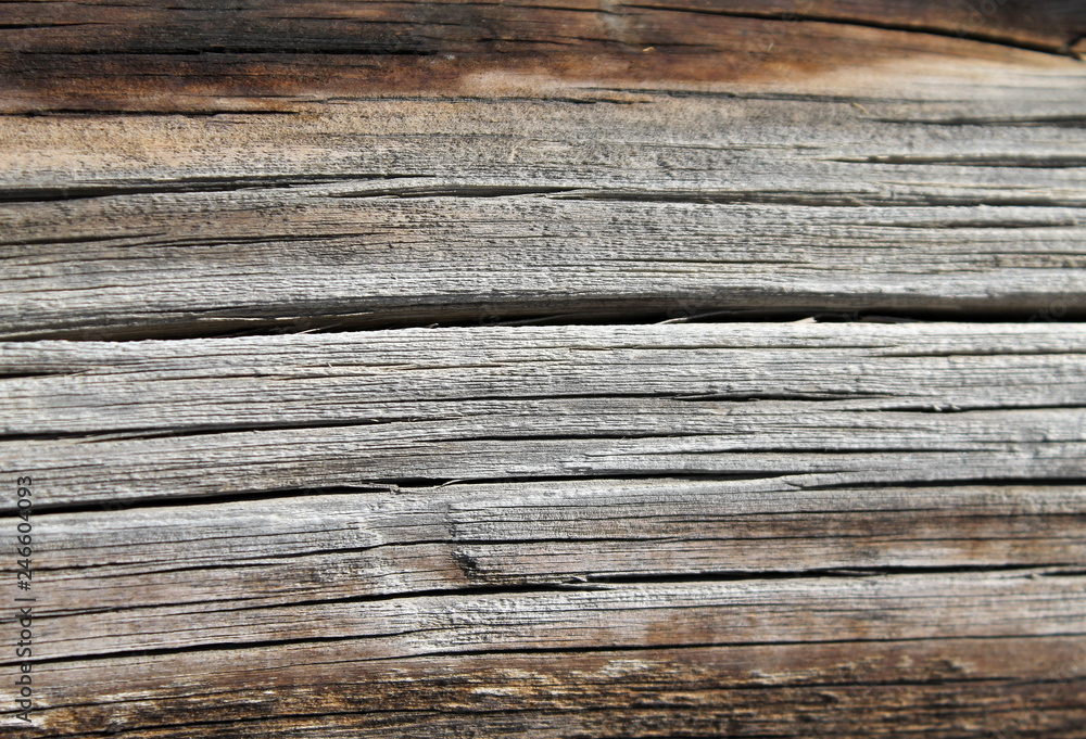 The old wood texture with natural patterns. Inside the tree background. Old grungy and weathered grey wooden wall planks texture background The old wood texture with natural patterns. Inside the tree background. Old grungy and weathered grey wooden wall planks texture background