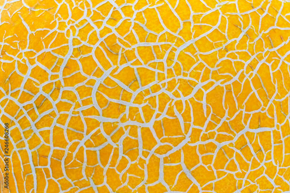 Muskmelon pattern macro, abstract background