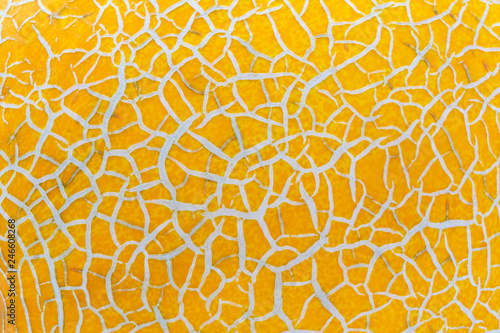 Muskmelon pattern macro, abstract background