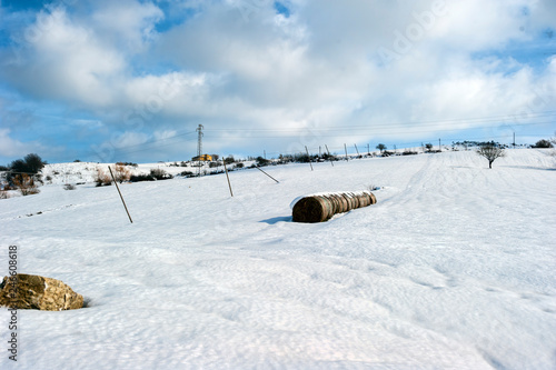 snowy fields.