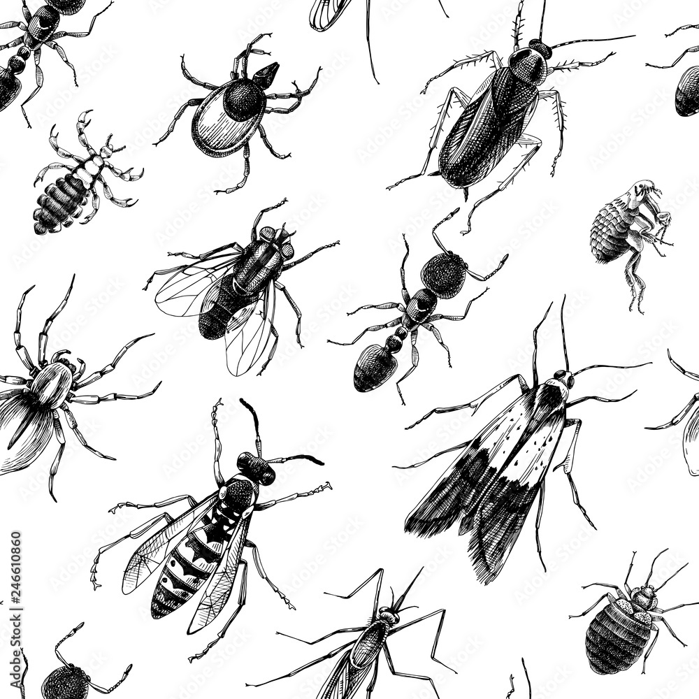 Pest control seamless pattern Pest control seamless pattern