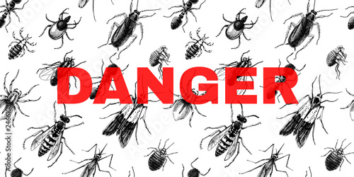 Danger sign over seamless pattern with insects