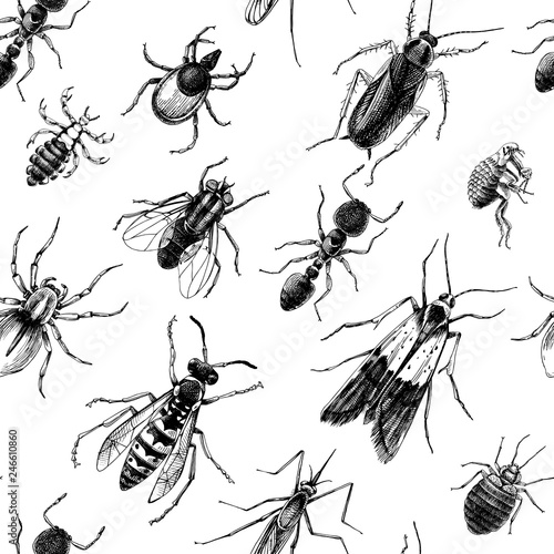 Pest control seamless pattern © Marina Gorskaya