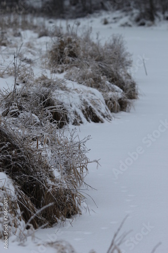 Frozen river is covered by snow and its coast with iced withered grass